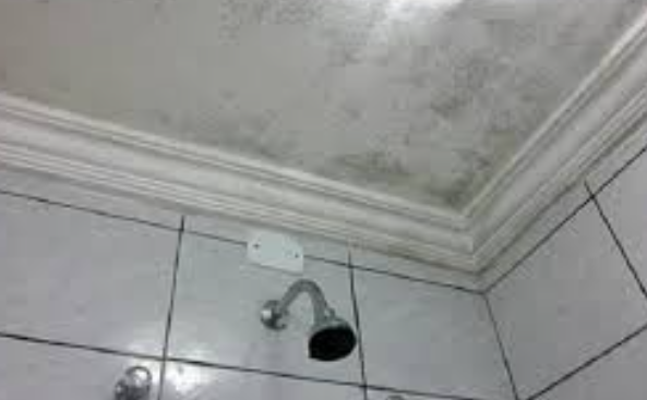 Mofo no teto: um problema comum e uma solução possível