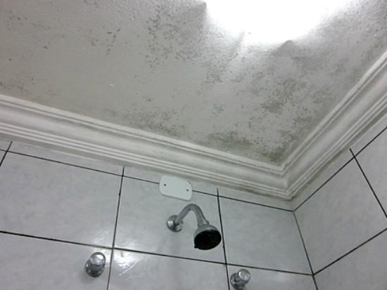 Mofo no teto: um problema comum e uma solução possível