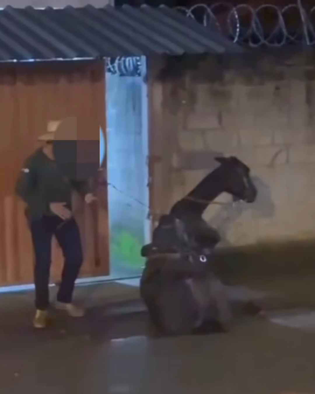 Polícia prende suspeito de agredir cavalo em distrito de Mariana após vídeo circular nas redes