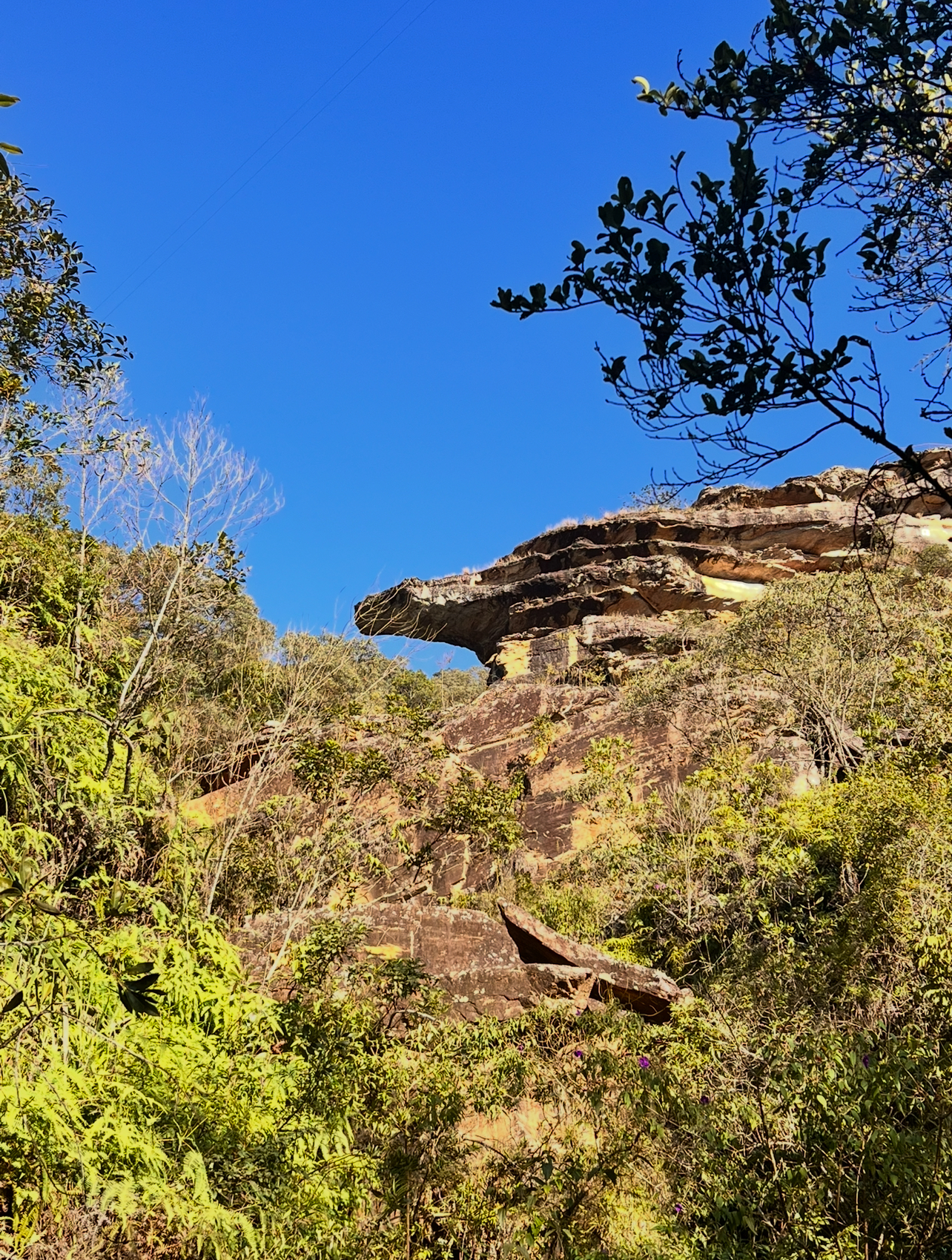 Corais de Ouro Preto e Mariana se apresentam no Parque das Andorinhas em encontro gratuito